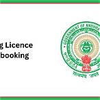 ap driving license slot booking